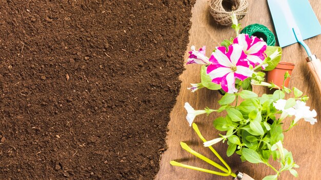 Herramientas de jardinería sobre la tierra visto desde arriba