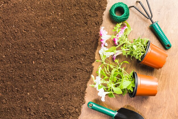 Herramientas de jardinería sobre la tierra visto desde arriba