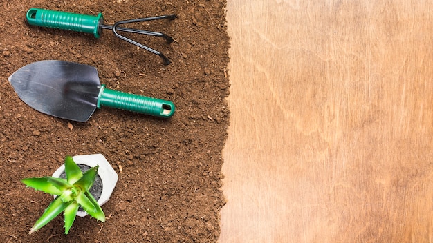 Foto gratuita herramientas de jardinería sobre la tierra visto desde arriba