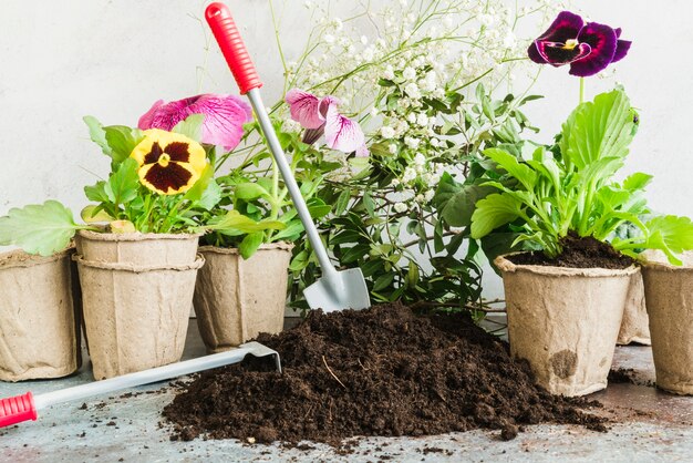 Herramientas de jardinería en el suelo con plantas de turba en maceta.