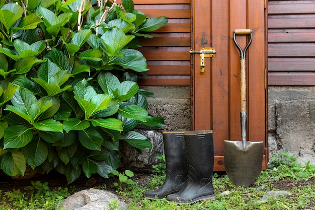 Herramientas de jardinero al lado de la casa