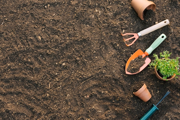 Herramientas y macetas con plantas en el suelo.