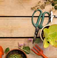 Foto gratuita herramientas y plantas en mesa de madera
