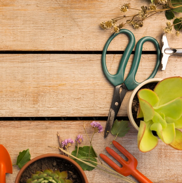 Herramientas y plantas en mesa de madera