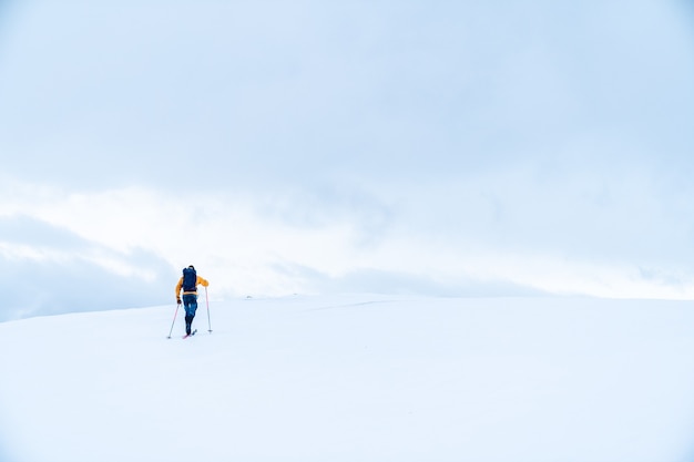 Hicimos una pequeña excursión de un día por Mullfjället.