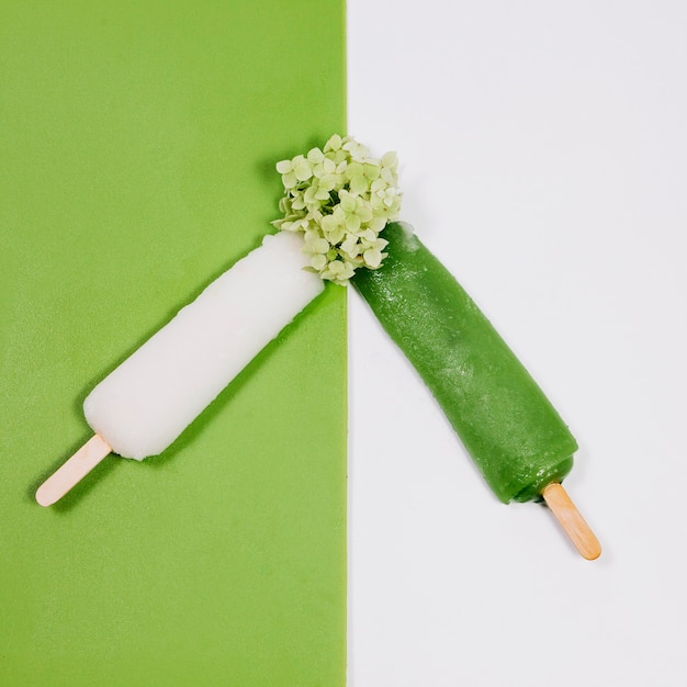 Foto gratuita hielo y flor de fruta blanca y verde