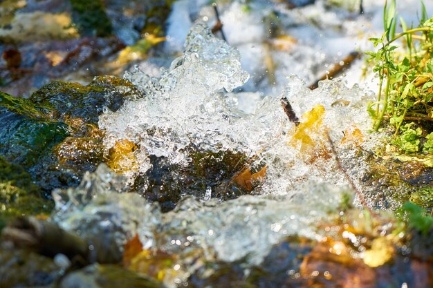 Hielo sobre rocas con musgo