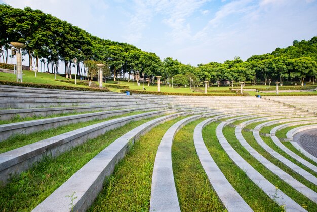 Hierba y pasos en el parque