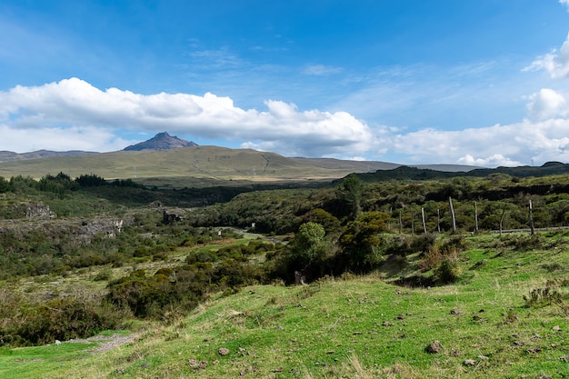 Hierba verde en las montañas y colinas