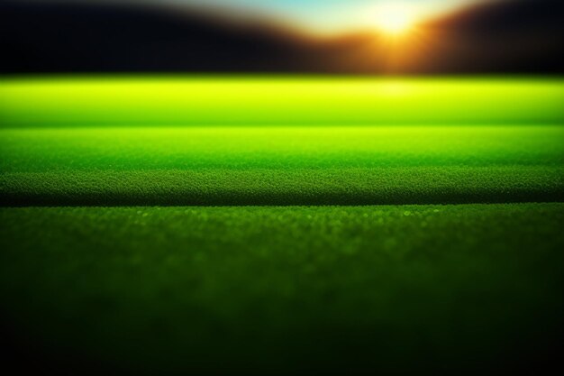 Hierba verde con la puesta de sol sobre ella