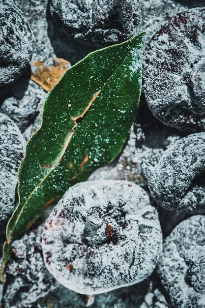 Higos secos sobre un marco vertical de fondo oscuro Los higos azules secos yacen sobre un fondo oscuro Bodegón con frutas saludables útiles para mantener la salud