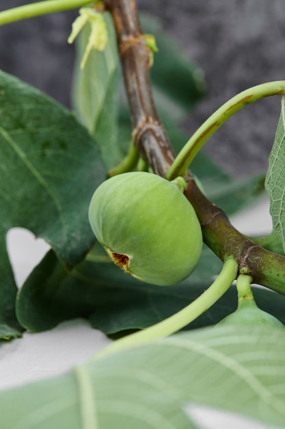 Higos verdes aislados con hojas verdes.