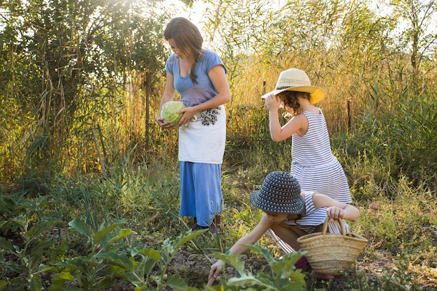 Hija y madre cosechando vegetales en el campo.