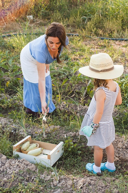Hija que mira a la mujer que cosecha la cebolla del resorte en el campo