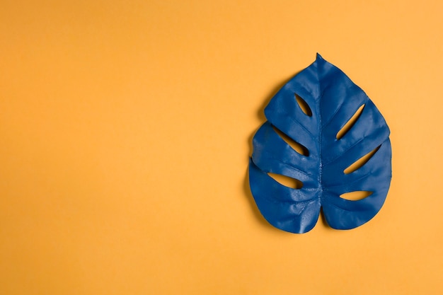 Hoja de Blle sobre fondo naranja con espacio de copia