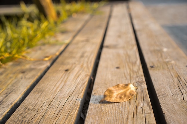 Hoja de cerca sobre tablas de madera