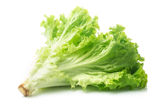 Featured image of post Imagenes De Lechuga Animada La lechuga es la planta m s importante del grupo de las hortalizas de hoja