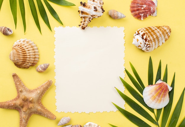 Hoja de papel en blanco con estrellas de mar y conchas