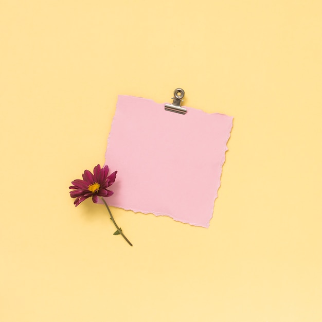 Hoja de papel en blanco con flor rosa