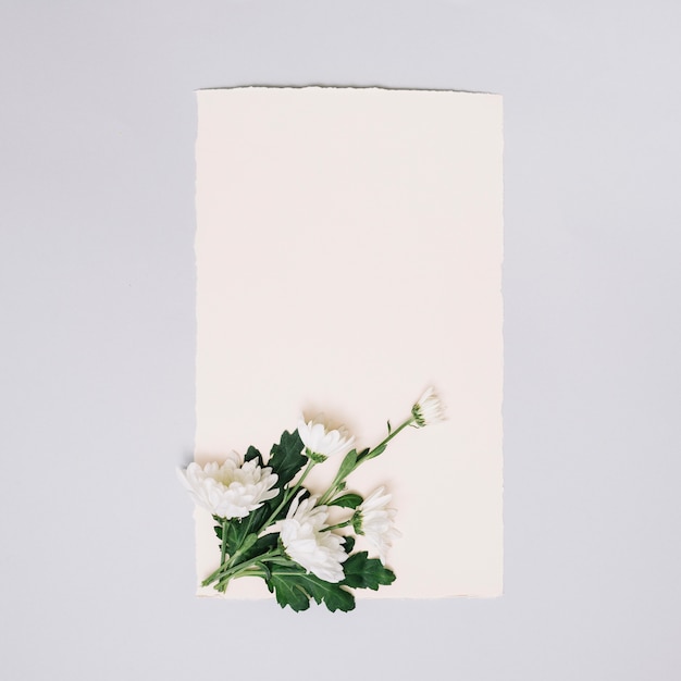 Hoja de papel con flores pequeñas en mesa blanca