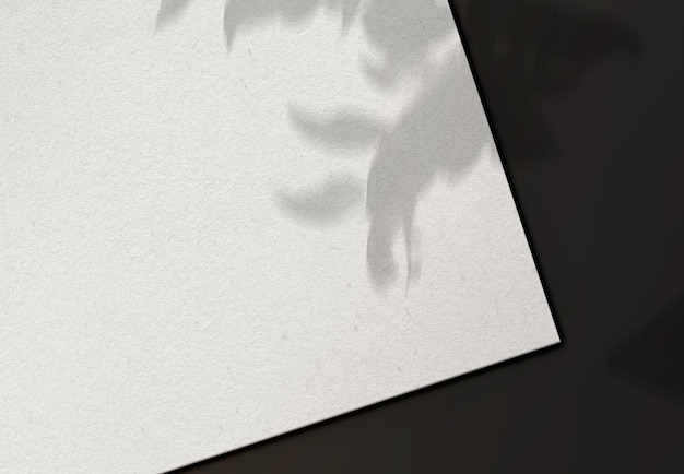 Foto gratuita hoja de papel normal con sombras de plantas sobre fondo negro