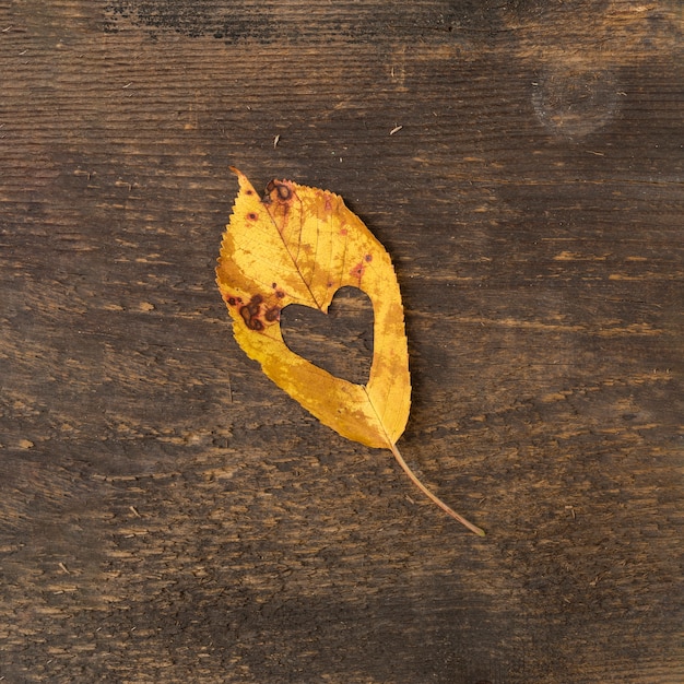 Foto gratuita hoja plana con corte en forma de corazón