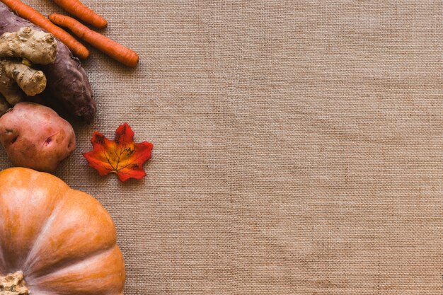 Hoja que miente cerca de verduras