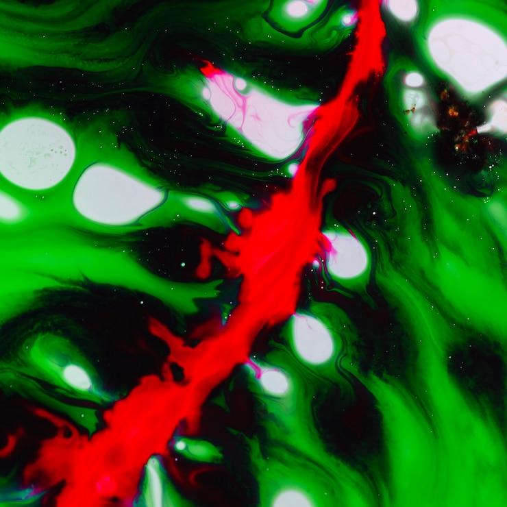 Foto gratuito hoja verde abstracta con línea roja
