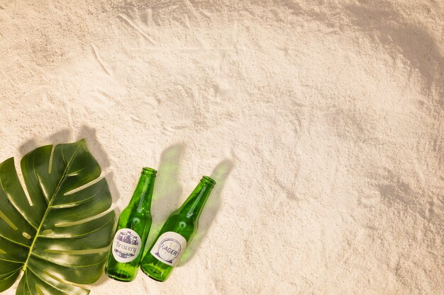 Hoja verde con botellas en la arena