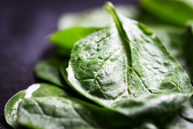 Hoja verde de cerca sobre una mesa oscura