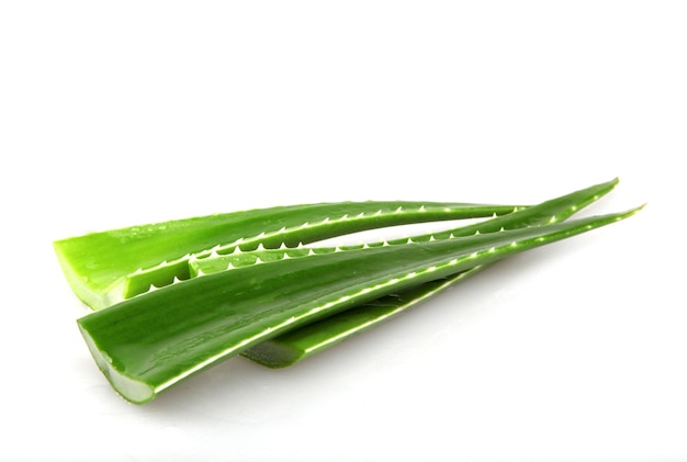 Foto gratuita hojas de aloe vera aisladas sobre fondo blanco