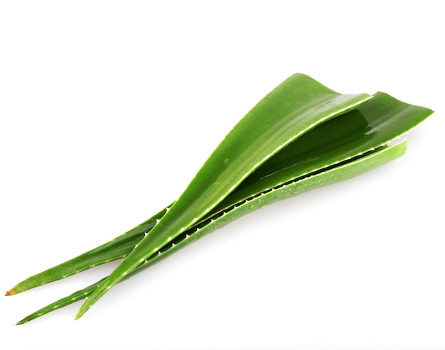 Hojas de aloe vera aisladas sobre fondo blanco