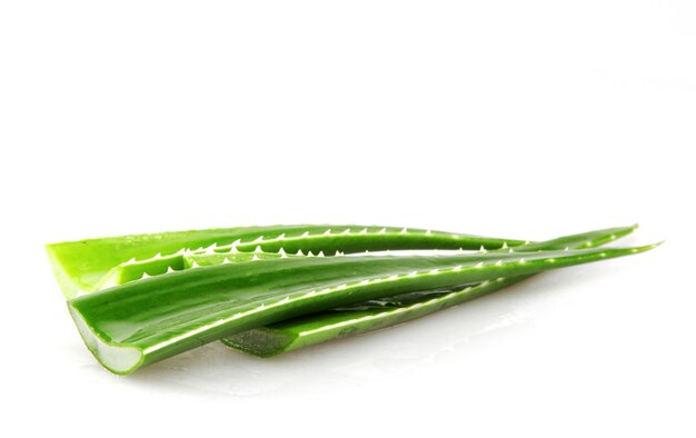 Hojas de aloe vera aisladas