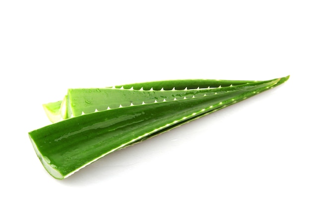 Hojas de aloe vera aisladas