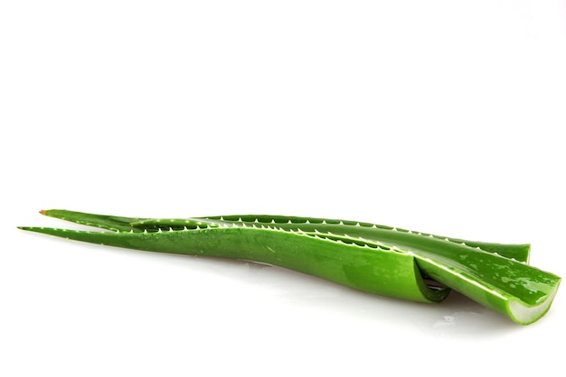 Hojas de aloe vera aisladas