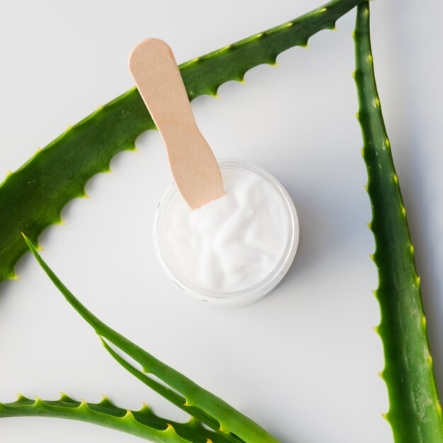 Hojas de aloe vera con un tarro de crema de belleza