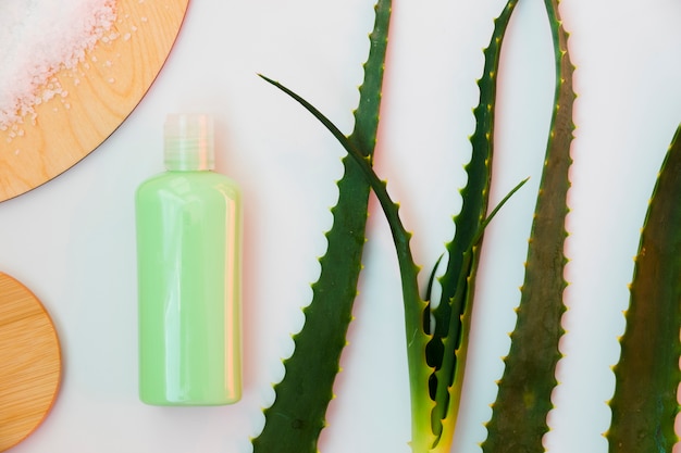 Hojas de aloe vera con un tarro de crema de belleza