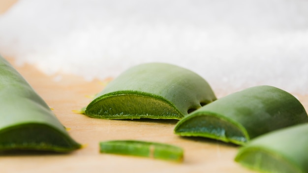 Hojas de aloe vera para tratamiento de belleza