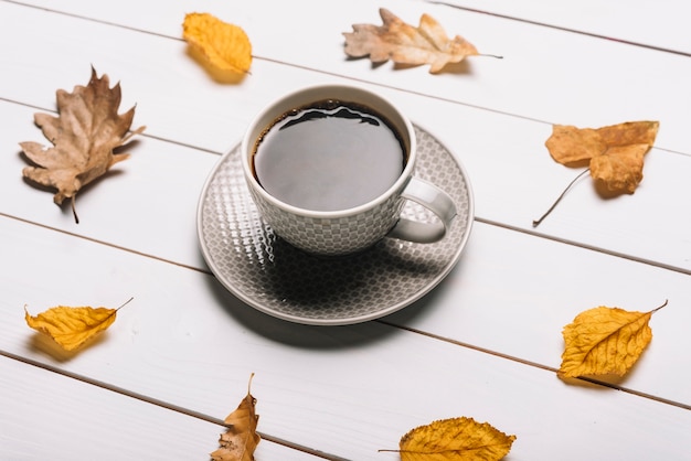 Hojas alrededor de la taza de café