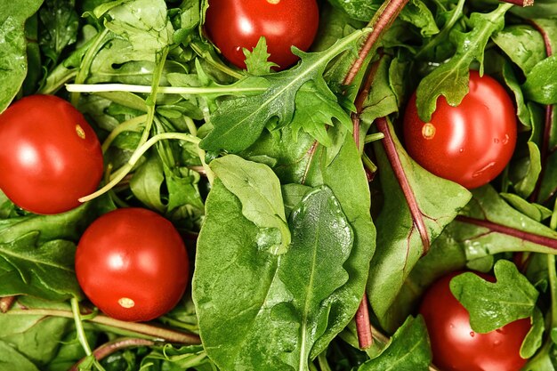 Hojas de arugula frescas, tomates cherry, acelgas y microvegetales, idea de preparación de ensalada de primavera fresca, dieta, comida vegetariana. Vista superior de verduras frescas, primer plano