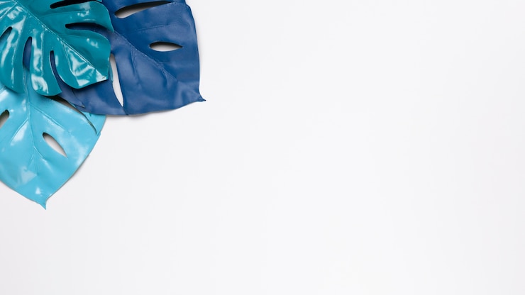 Foto gratuito hojas azules sobre fondo blanco con espacio de copia