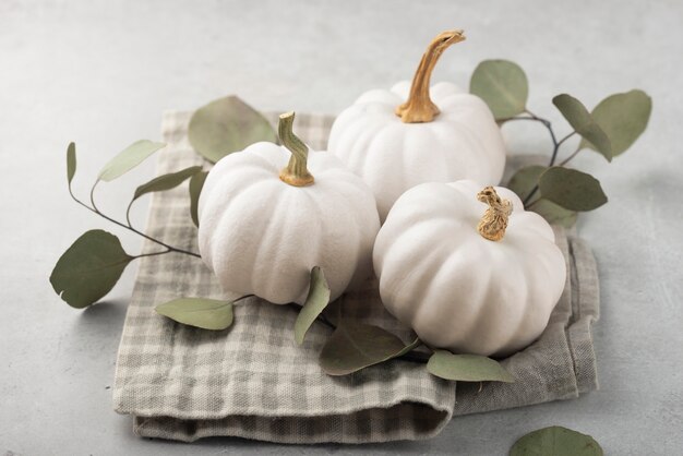 Hojas y calabazas blancas de alto ángulo