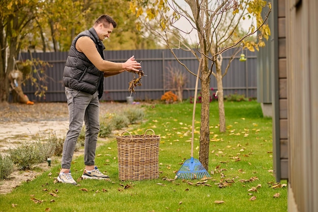 Hojas, cesta. Hombre adulto joven sonriente de pie de lado a la cámara rociando hojas en una cesta de mimbre en el césped verde en el jardín el día de otoño