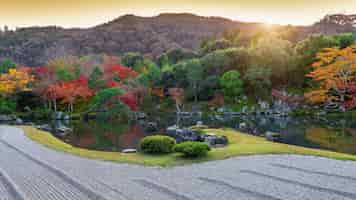 Foto gratuita hojas de colores en el parque de otoño, japón.
