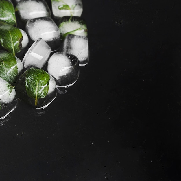 Hojas congeladas en cubitos de hielo.