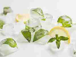 Foto gratuita hojas en cubitos de hielo con limones.