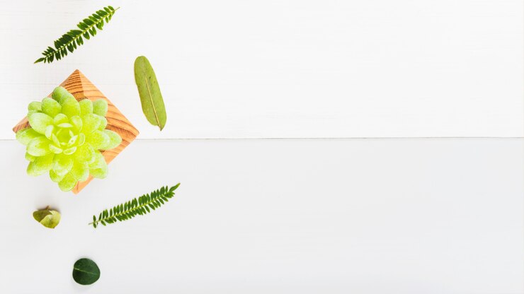Foto gratuito hojas diminutas alrededor de suculentas en maceta