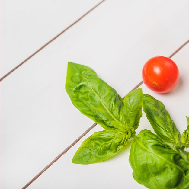 Hojas frescas de albahaca verde con un solo tomate entero rojo