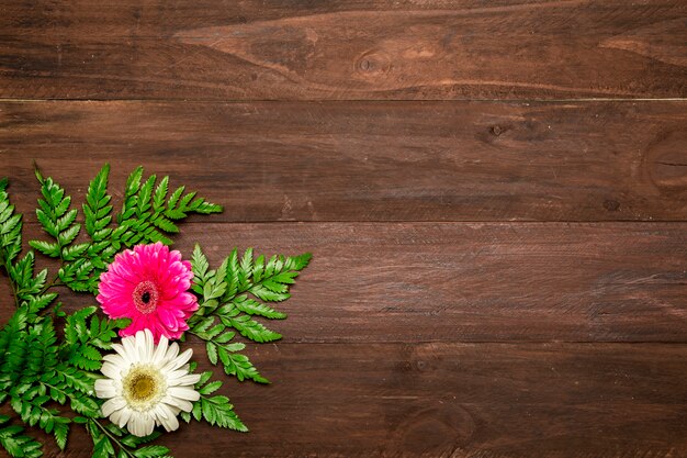 Hojas de helecho y flores de gerbera.