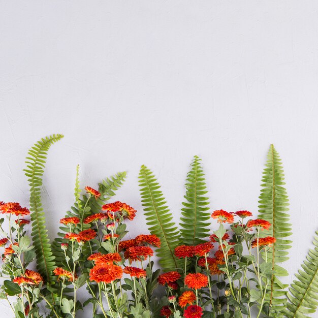 Hojas de helecho verde con flores en la mesa